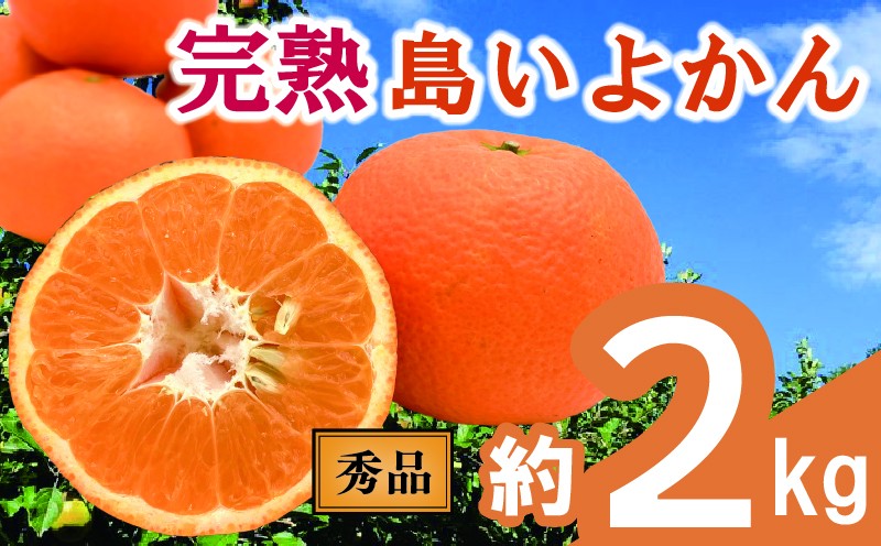 
            【先行予約】 完熟島いよかん (秀品・ギフトBOX入) 約2kg | いよかん 伊予柑 柑橘 みかん 蜜柑 mikan 檸檬 オレンジ おれんじ かんきつ 【2026年2月上旬頃から発送予定】 愛媛県 松山市 ココオ Koko'o 
          