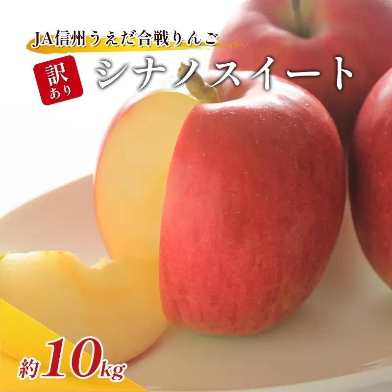 りんご JAうえだ シナノスイート 訳あり 約10kg  果物 りんご