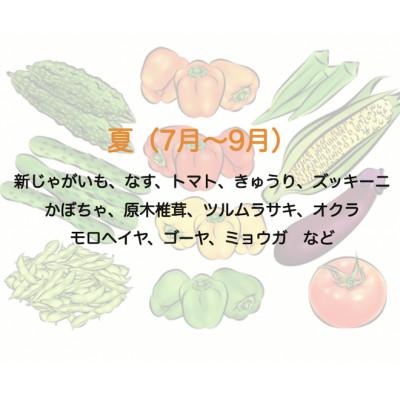 ふるさと納税 南伊豆町 湯の花　季節の野菜と果物セット |  | 02