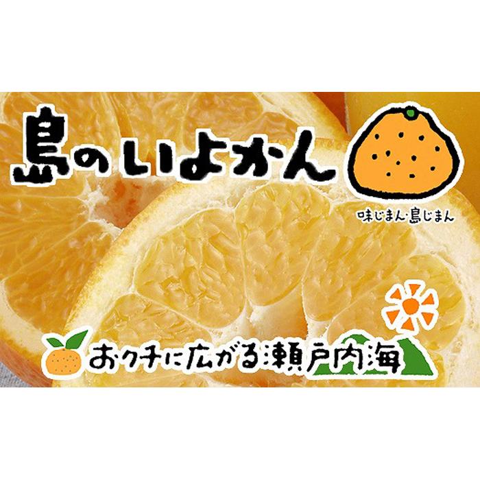【ふるさと納税】 【2026年1月下旬から発送】 伊予柑 4kg いよかん 愛媛 中島産 | 愛媛 みかん 先行予約 蜜柑 柑橘 果物 くだもの フルーツ お取り寄せ グルメ 期間限定 数量限定 人気 おすすめ 愛媛県 松山市