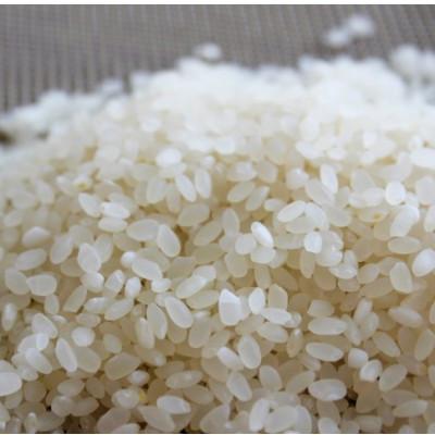 ふるさと納税 北川村 北川村の米《維新の風》[5kg×3袋] |  | 02