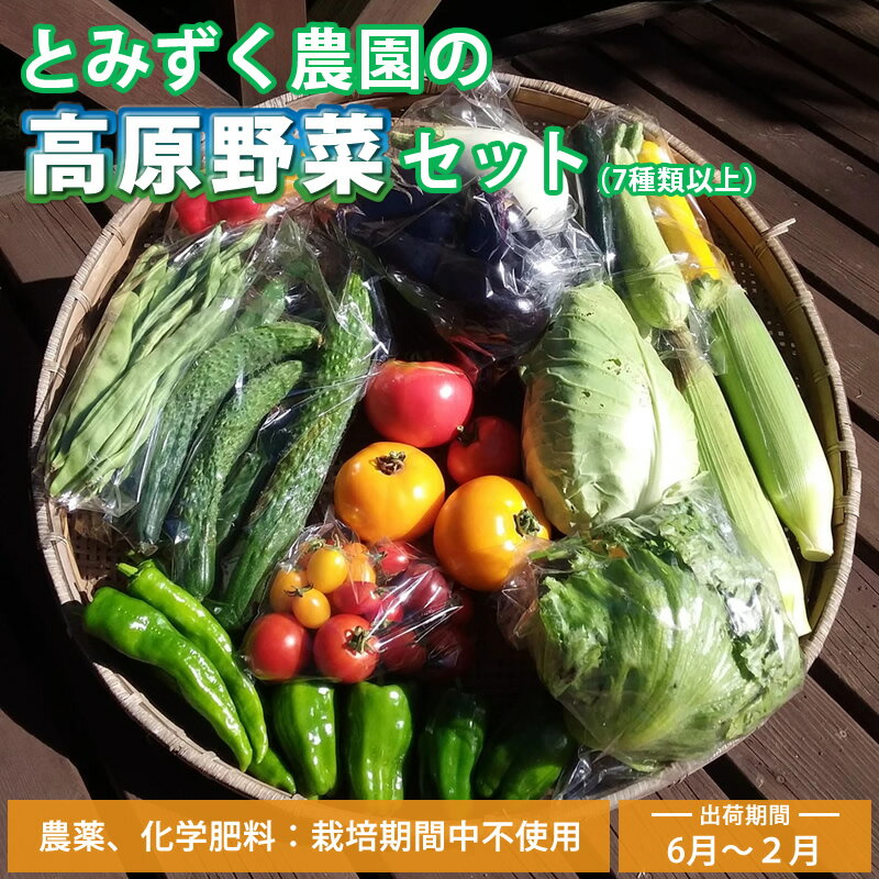 【ふるさと納税】【6月～2月出荷】産地直送！旬の高原野菜セット(北海道・沖縄県・離島は配送不可) 長野 信州 無農薬 旬 季節 新鮮 詰合せ 直送 先行予約＜出荷時期2026年6月17日以降出荷開始～2027年2月28日出荷終了＞