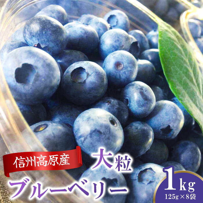 【ふるさと納税】人気 信州 大粒 ブルーベリー 数量限定 期間限定 完熟 糖度 甘酸っぱい 100円玉大 冷蔵 信州産 フレッシュブルーベリー(大粒) 1kg 3102