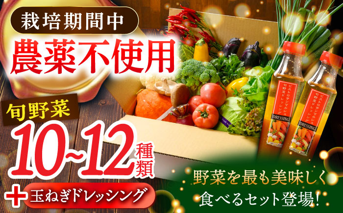 栽培期間中農薬不使用！旬のお野菜セット×手作り玉ねぎドレッシング（2本）　愛媛県大洲市/有限会社ヒロファミリーフーズ [AGBX002]野菜 サラダ カレー 農業 トマト 料理 きゅうり 鍋 とうもろ