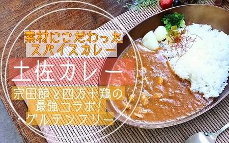 土佐カレー 5食 セット カレー カレー カレー カレー カレー ［1595-2］