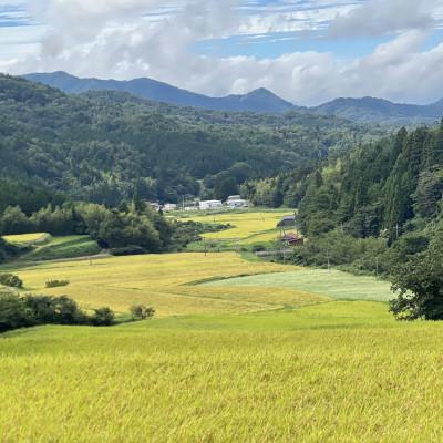 ふるさと納税 松江市 【毎月定期便】プレミアム仁多米(なおらい米)真空パック　2kg×1袋(松江市)全6回 |  | 03