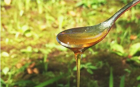 【数量限定】天然蜂蜜「百花蜜｣ 計1.2kg（600g×2個）＜高岸農園＞[CCH003]   蜂蜜 百花蜜
