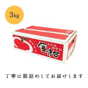【創業85年 親子4代 愛媛みかん 一筋】愛媛八幡浜産 訳あり 極早生みかん 3kg【A20-45】【1594912】