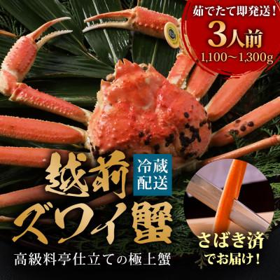 ふるさと納税 福井市 【11月〜12月に発送】【捌き済で楽々】茹で越前がにズワイガニ 大大1杯(1.1〜1.3kg)