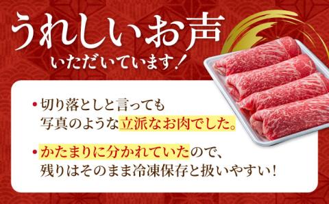 圧倒的リピート率！佐賀県産 黒毛和牛 贅沢切り落とし 1kg（1000g×1パック）【株式会社いろは精肉店】 /佐賀県黒毛和牛 切り落とし 和牛 黒毛和牛 切落し 切りおとし 肉 牛肉 すきやき しゃ