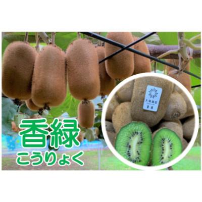 ふるさと納税 春日部市 【春日部市】香緑27玉入り　大晴農園のキウイフルーツ