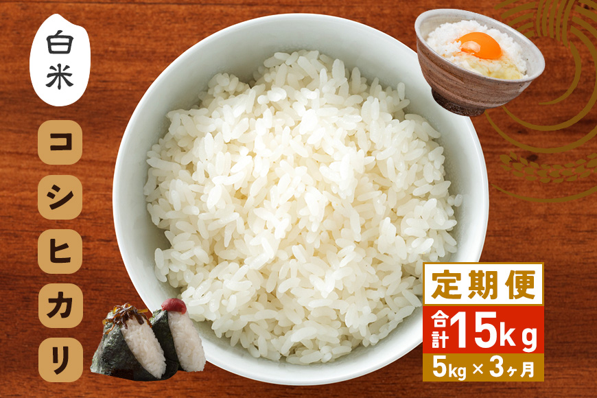 【3カ月定期便】 令和7年度 笠間産 コシヒカリ 5kg (5kg×3回 計15kg) 精米 定期便 米 白米 こめ コメ ご飯 ごはん 農家直送 産地直送 国産 茨城県 笠間市 青木商店 【6月末まで受付】