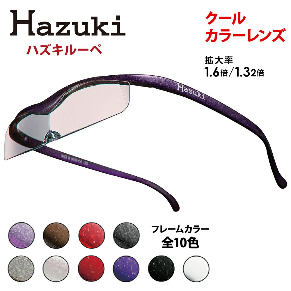 【ふるさと納税】ハズキルーペ【クール・カラーレンズ】[0387-0408]