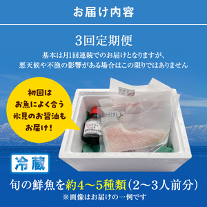 【8月配送開始】〈配送地域限定〉 産地直送 氷見漁港 朝どれ鮮魚お刺身セット定期便3ヶ月連続 土日祝日配達希望