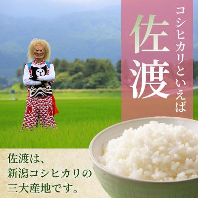 ふるさと納税 佐渡市 【令和7年産米】＜無洗米＞食味鑑定コンクール金賞　佐渡産コシヒカリ20kg(5kg×4) |  | 01