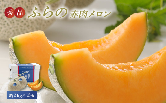 【2026年8月発送】JAふらの 赤肉メロン 2玉 計4kg 富良野市 メロン フルーツ 果物 