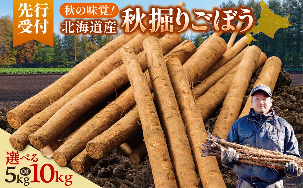 
                  【選べる内容量】先行受付！2026年10月頃～発送開始！北海道十勝清水町産 秋堀り 新鮮 ごぼう！ 5kg 10kg 北海道産 ごぼう 土付ごぼう ゴボウ 根菜_S045
                