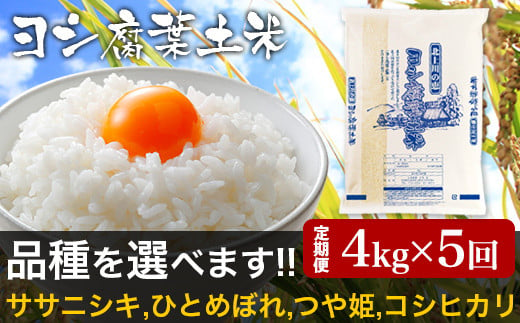 【新米予約】＜定期便5回＞品種が選べる 令和6年産 ヨシ腐葉土米 ササニシキ 合計20kg【毎月4kgを5回に渡りお届け！】