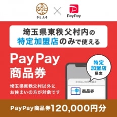 埼玉県東秩父村　PayPay商品券(120,000円分)※地域内の一部の加盟店のみで利用可
