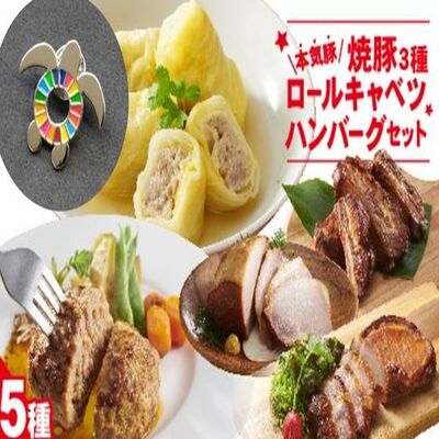 【ふるさと納税】【SDGsカメバッチ】と【本気豚焼豚3種・ロールキャベツ・ハンバーグセット】