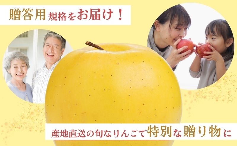 りんご 長野 贈答用 リンゴ ぐんま名月 約4.5kg（14玉～18玉） 産地直送 ギフト プレゼント 贈答 贈答品 贈り物 蜜 フルーツ 果物 デザート 林檎 秋 旬 信州 長野県