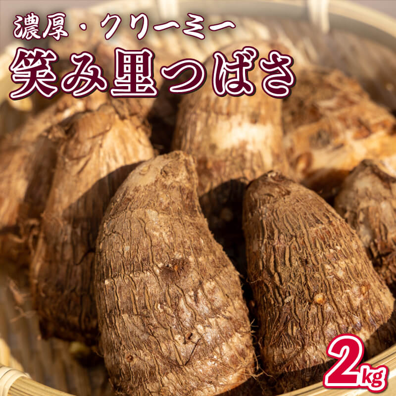 【ふるさと納税】 先行予約 里芋 2kg 笑み里つばさ さといも 煮物 産地直送 国産 農家直送 期間限定 数量限定 人気 限定 先行 予約 受付 事前予約 野菜 根菜 高橋農園 新潟県 新発田市