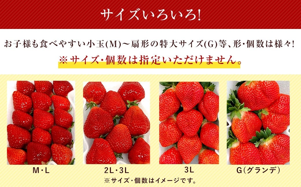 【2回定期便】うるう農園のあまおう サイズ色々6パック