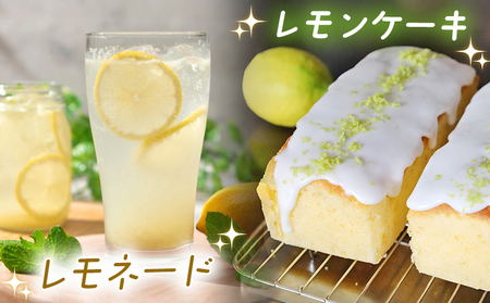 ＜天晴レモン 贈答用 約2kg＞ フルーツ 果物 くだもの レモン れもん 檸檬 柑橘 プレゼント 贈り物 お返し お礼 ギフト アレンジ 料理 国産 国産レモン 愛媛県産 特産品 株式会社笑丸 愛媛