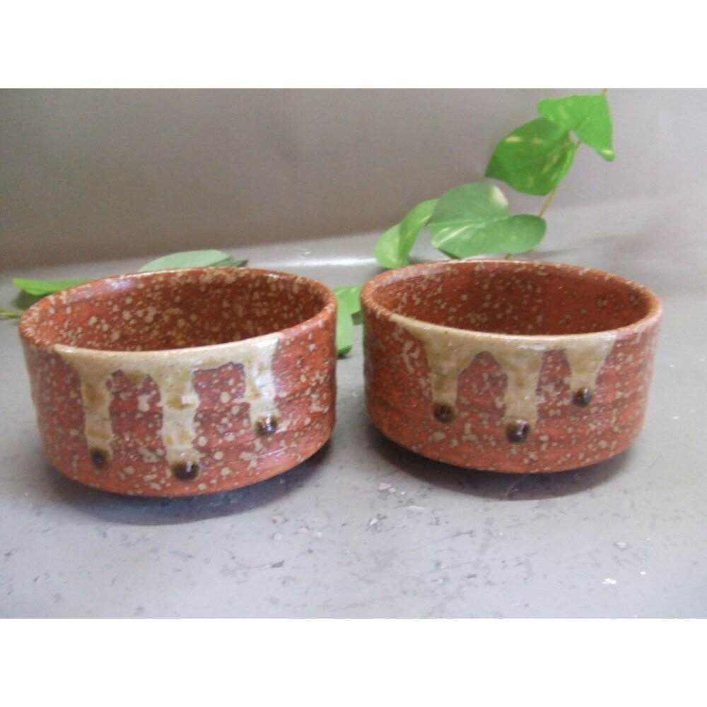 【ふるさと納税】【信楽焼】緋色小鉢2個セット うつわ　　　nwu-029 | クラフト 民芸 人気 おすすめ 送料無料