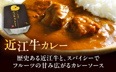 -あふひ 贅の極み- 近江牛・飛騨牛・松阪牛カレー 2人前×各1個 / 恵那市 / テンポイント [AUEU037] カレー