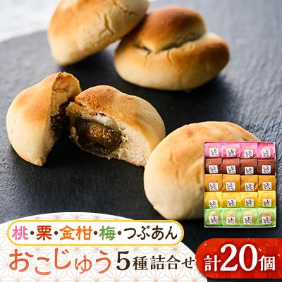 ふるさと納税 あきる野市 おこじゅう詰め合わせ(20個入)【お茶ぞっぺの中島屋(あきる野の匠)】