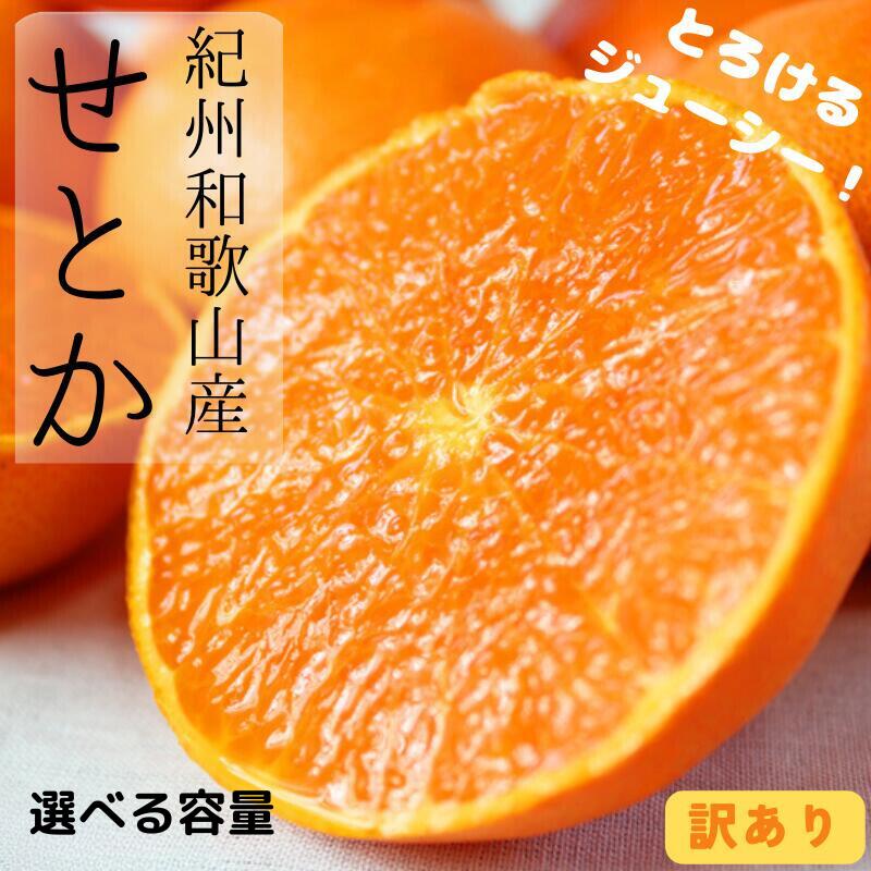 【ふるさと納税】 【ご家庭用】和歌山産 せとか 約3kg 約5kg 訳あり / ワケあり みかん 柑橘 果物 フルーツ 12000円 22000円 自宅用 おすそわけ 甘い 人気 ジューシー 数量限定 産地直送 ※2026年2月上旬頃〜3月中旬頃発送(お届け日指定不可)【先行予約】