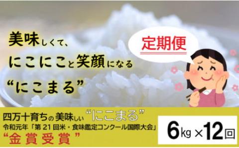 ◎令和5年産米◎四万十育ちの美味しい仁井田米。高知のにこまるは四万十の仁井田米【6㎏×12回の定期便】Rbmu-04