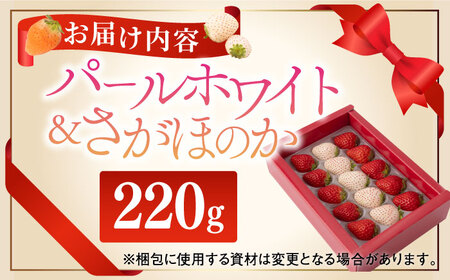【先行予約】【農家直送】縁起の良い紅白 さがほのかとパールホワイト 220g 化粧箱 /いちご イチゴ 白いちご 希少いちご【ハヤシダファーム】 [IAQ004]