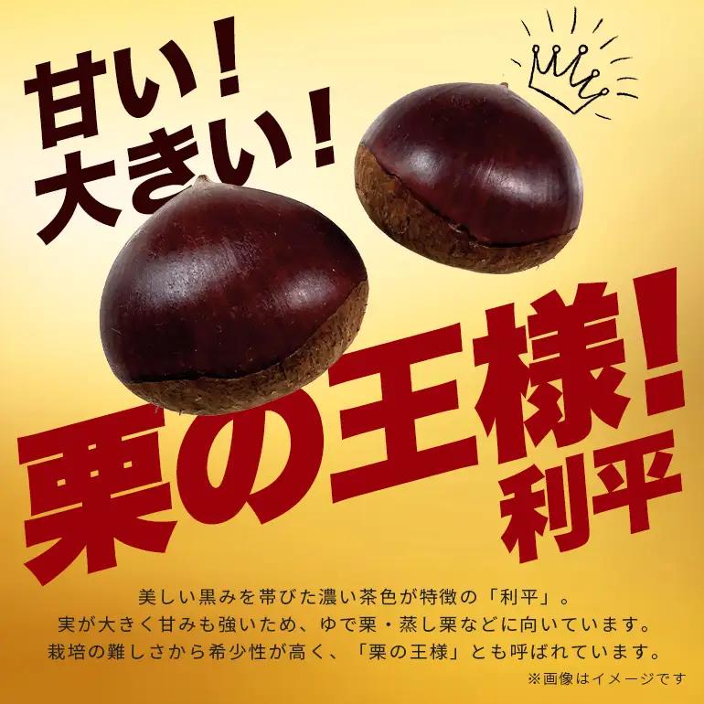 生栗 2kg 栗 2L以上 AH-006
