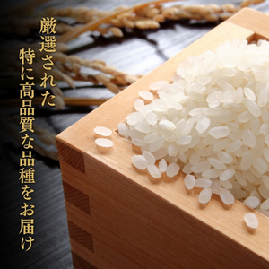 上越市産 新潟 コシヒカリ 5kg こしひかり お米 精米 米 ご飯