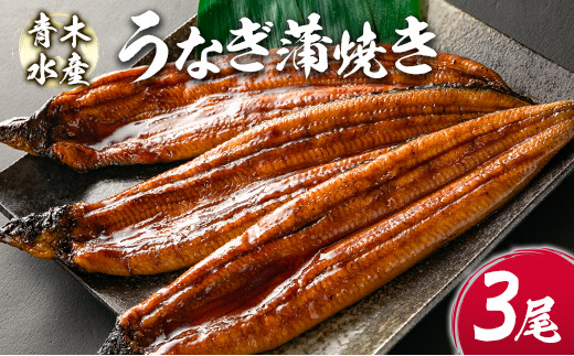 
青木水産のうなぎ蒲焼き 3尾（150～180g／1尾あたり） 有頭 宮崎県産【D134】

