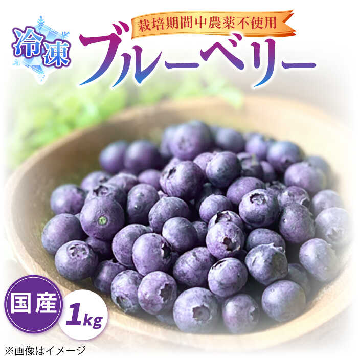 【ふるさと納税】築上町産 冷凍 ブルーベリー 1kg 《築上町》【(有)工房よしかわ】国産 ブルーベリー [ABAK001] 12000円