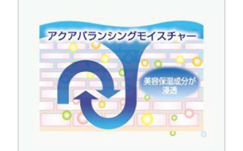 【3回定期便】あろえの森 浸透保湿化粧水 300ml（2個セット）