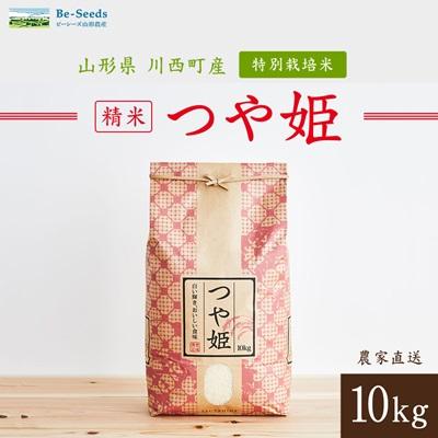 ふるさと納税 川西町 令和7年産　山形県産　つや姫　10kg