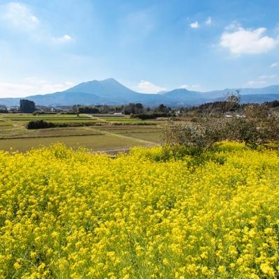 ふるさと納税 高原町 高原町産天然はちみつ(1.2kg)　特産品番号269 |  | 03
