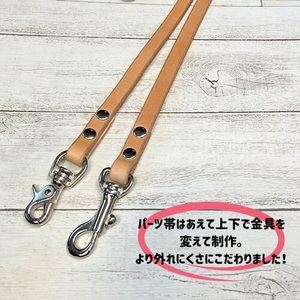 「13ｍｍ幅」 本革 ベンズ の多頭引き リードセット カラー：黒