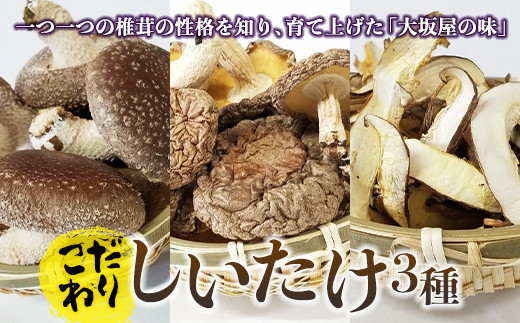 
            こだわりしいたけ3種セット F21K-174
          