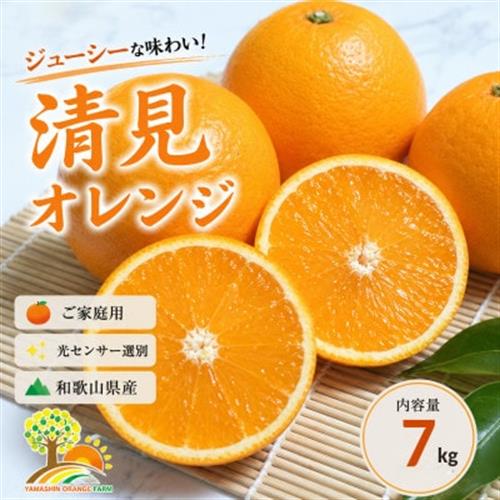 清見オレンジ みずみずしい果汁 約7kg (SS～2L混合サイズ) (nuk011-r-7)【1755421】