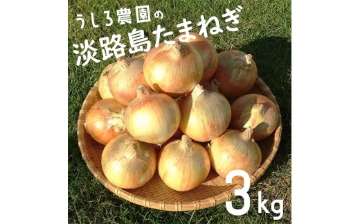 
                  淡路島 玉ねぎ 3kg  肉厚 中生 玉ねぎ タマネギ 淡路島産 3キロ スープ ハンバーグ 肉じゃが ホイル焼き 野菜 サラダ うしろ農園 淡路 洲本市 [№5395-0548]
                