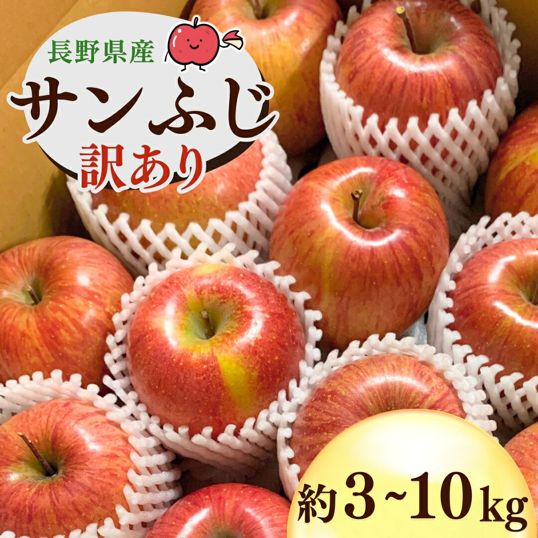 【ふるさと納税】【2026年先行予約】千曲市産 りんご 訳あり サンふじ 約3~10kg| 林檎 リンゴ アップル 果物 くだもの フルーツ ふじ フジ さんふじ 富士 3キロ 5キロ 10キロ わけあり 訳アリ お取り寄せ 産地直送 長野県産 信州林檎 信州りんご 信州 長野 千曲市