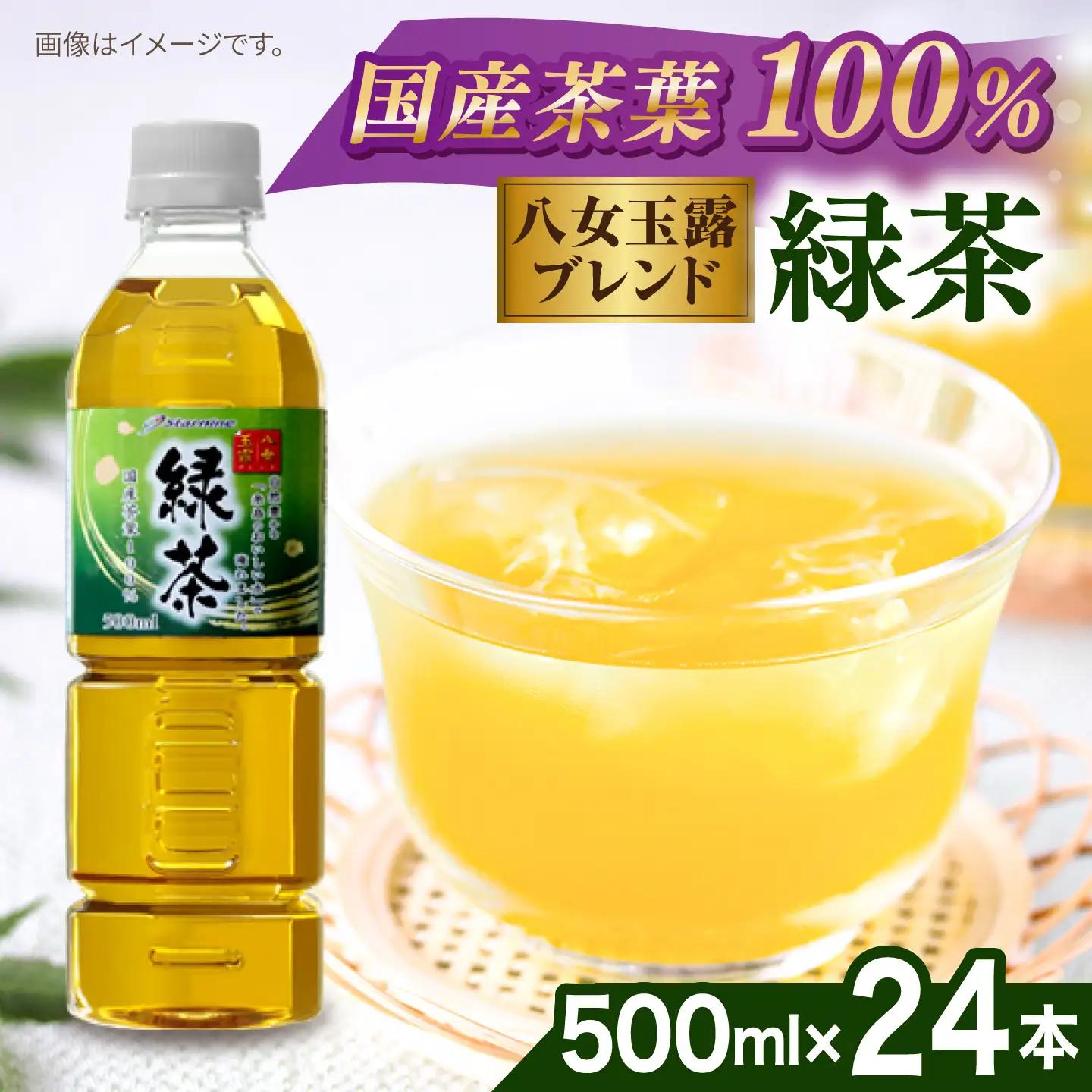 緑茶 ペットボトル 500ml 24本 八女玉露入り緑茶 お茶 [ARM004]