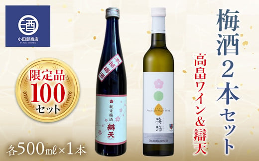 
限定品100セット 梅酒2本 高畠ワイン&辯天 500ml 梅酒セット F20B-561
