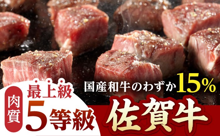 佐賀牛 A5 ヒレ サイコロステーキ 500g ( 250g×2パック ) 牛肉 ヒレステーキ 希少部位 フィレ フィレステーキ