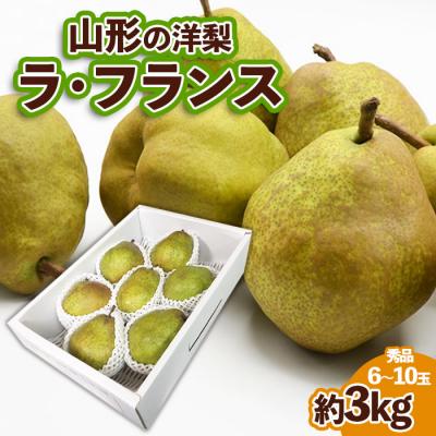 ふるさと納税 山形市 山形の洋梨ラフランス 秀品 約3kg (6〜10玉)【令和8年産】FS25-736
